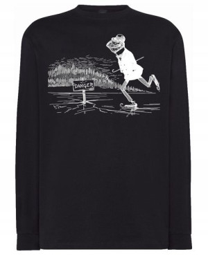 Longsleeve zabawny nadruk ŻABA NA ŁYŻWACH r.S