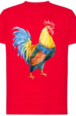 Męski T-Shirt Nadruk Kogut Kolorowy Rozm.3XL