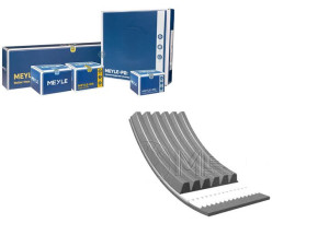 Pasek Wielorowkowy (6pk1190) Meyle