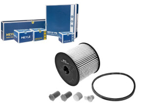 Filtr Paliwa Citroen 2,0hdi Meyle