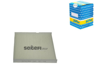 Filtr Kabiny Peugeot 2,2hdi Purflux