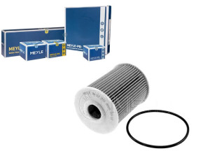 Filtr Oleju Renault Master 3,0dci 03- Meyle