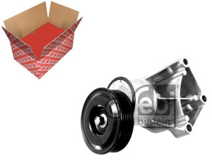 Napinacz Paska Wielorowkowego Ford Fiesta Iv Puma