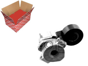 Napinacz Paska Wielorowkowego Fiat Ducato Ford Tou