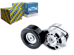 Napinacz Paska Wielorowkowego Audi A4 A5 A6 A6 All