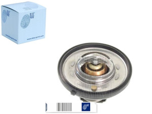 Termostat Jeep 91c Grand Cherokee Ii Iii Blue Prin