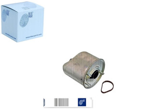Filtr Paliwa Ford Blue Print