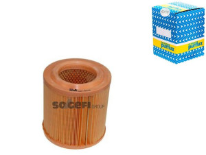 Filtr Powietrza Renault Maxity Purflux