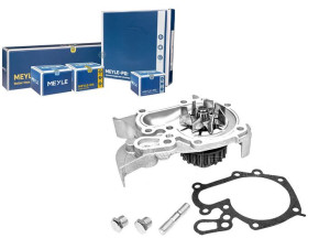 Pompa Wody Renault 1,4 Megane Scenic Meyle