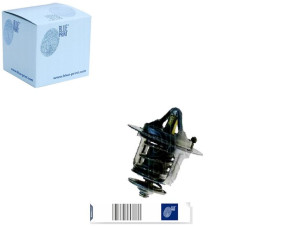 Termostat Blue Print