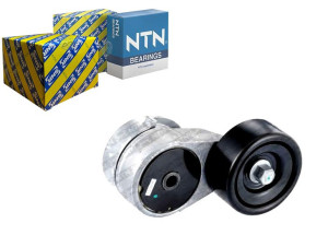 Napinacz Paska Wielorowkowego Hyundai Veloster Kia