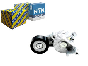 Napinacz Paska Wielorowkowego Audi A3 Seat Altea A