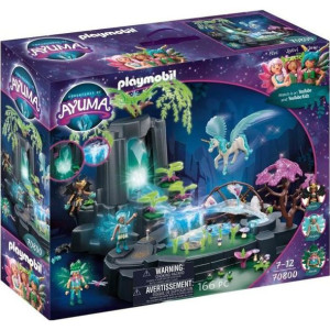 PLAYMOBIL - 70800 - Zaczarowane zródlo zasilania