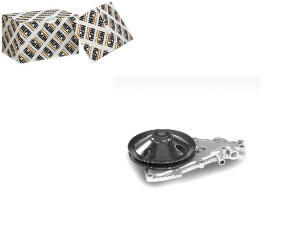 Pompa Wody Renault 11 19 I 19 I Chamade 19 Ii 19 I