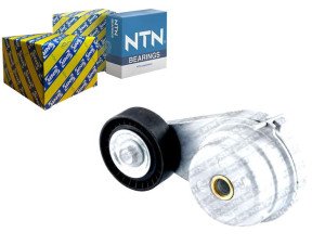 Napinacz Paska Wielorowkowego Smart Fortwo 0.8d/1.