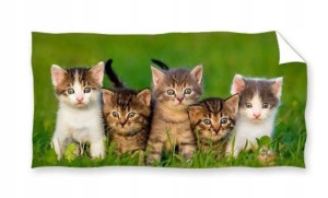 Ręcznik Bawełniany 70x140 Kot Kotki Kotek Cat Koty