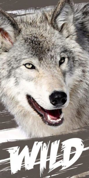 Ręcznik Bawełniany 70x140 Wilk Z Wilkiem Wolf Wild
