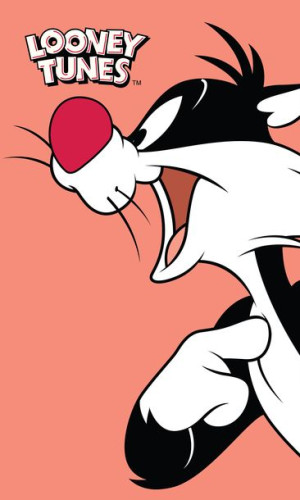 RĘCZNIK 30x50 Do Przedszkola Kot Sylwester Looney