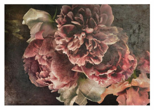 Fototapeta KWIATY VINTAGE Beton Piwonie 368x254