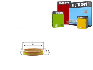 Filtr Powietrza Renault R19 R21 Filtron