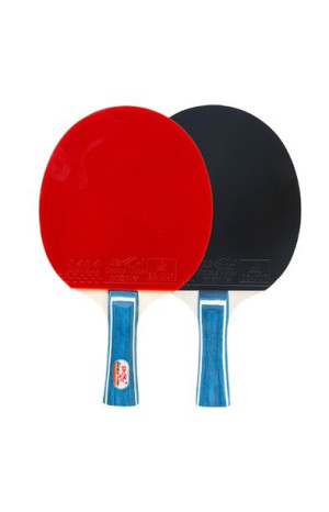 Paletka rakieta do ping ponga tenis stołowy Double Fish DF-01