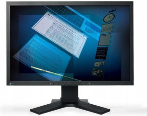 Monitor 22' EIZO S2202W DVI VGA
