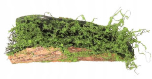 Kora Omszała Dekoracja Ozdoba Baza 29 Cm