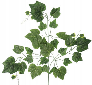 Liść Liście Gałązka Liści Zielona Winogrono 68cm