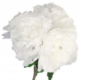 Bukiet Kwiatów Piwonii Peonii Piwonia Peonia 50cm