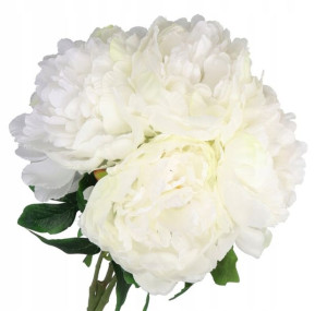 Bukiet Kwiatów Piwonii Peonii Piwonia Peonia 50cm