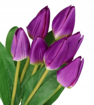 Tulipany Bukiet Tulipanów Tulipan 44cm 7gał