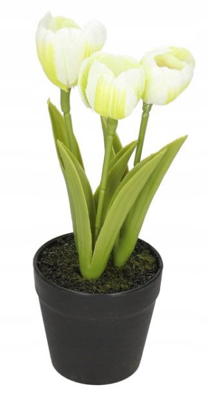 Tulipany Bukiet Tulipanów Kwiaty Gumowe Jak Żywe