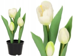 Tulipany Bukiet Tulipanów Kwiaty Gumowe Jak Żywe