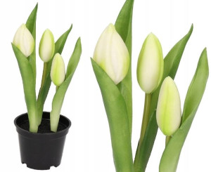 Tulipany Bukiet Tulipanów Kwiaty Gumowe Jak Żywe