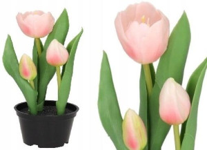 Tulipany Bukiet Tulipanów Kwiaty Gumowe Jak Żywe