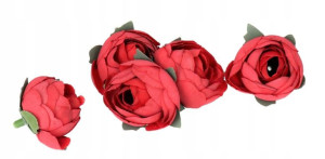 Peonia Piwonia Pełnik Jaskry Główka Do Wyrabiania