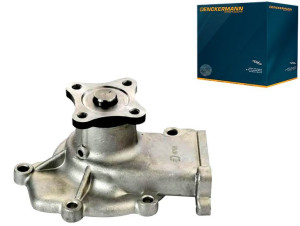 Pompa Wody Denckermann 1n0315010 210100m301 210107