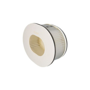 Filtr powietrza YAMAHA FZS 1000 2001- Hiflo HFA491