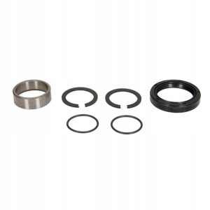 Zestaw naprawczy sprzęgła KAWASAKI KX 250 2001- HO