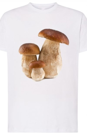 Prawdziwki Grzyby Męski T-Shirt Modny Rozm.3XL