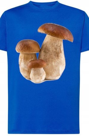 Prawdziwki Grzyby Męski T-Shirt Modny Rozm.S