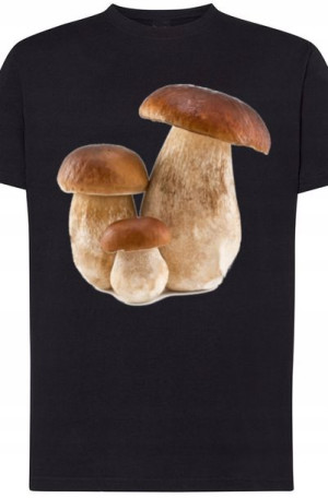 Prawdziwki Grzyby Męski T-Shirt Modny Rozm.XL