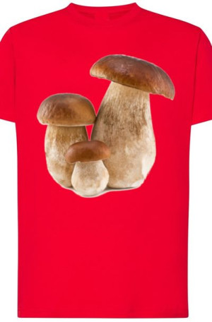 Prawdziwki Grzyby Męski T-Shirt Modny Rozm.XS
