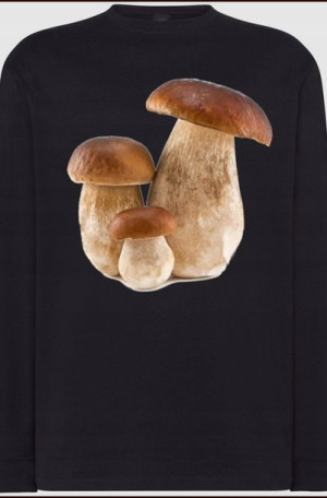 Prawdziwki Męska Bluza Longsleeve Modna Rozm.3XL