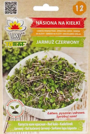Toraf Nasiona na kiełki Jarmuż Czerwony 10 g