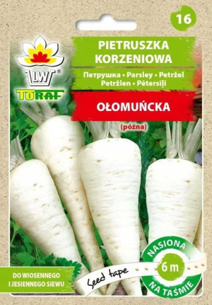 Toraf Nasiona na Taśmie Pietruszka Ołomuńcka