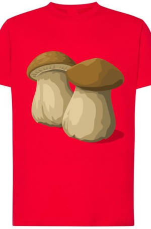 Prawdziwki Męski T-Shirt Grzyby Rozm.4XL