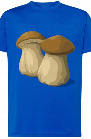Prawdziwki Męski T-Shirt Grzyby Rozm.L