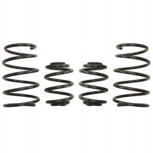 Sprężyny EIBACH PRO KIT BMW Z3 Roadster E37
