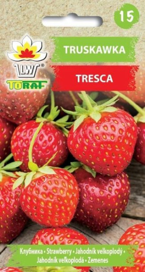Toraf Nasiona Truskawka Tresca